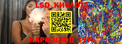 МДПВ Кингисепп