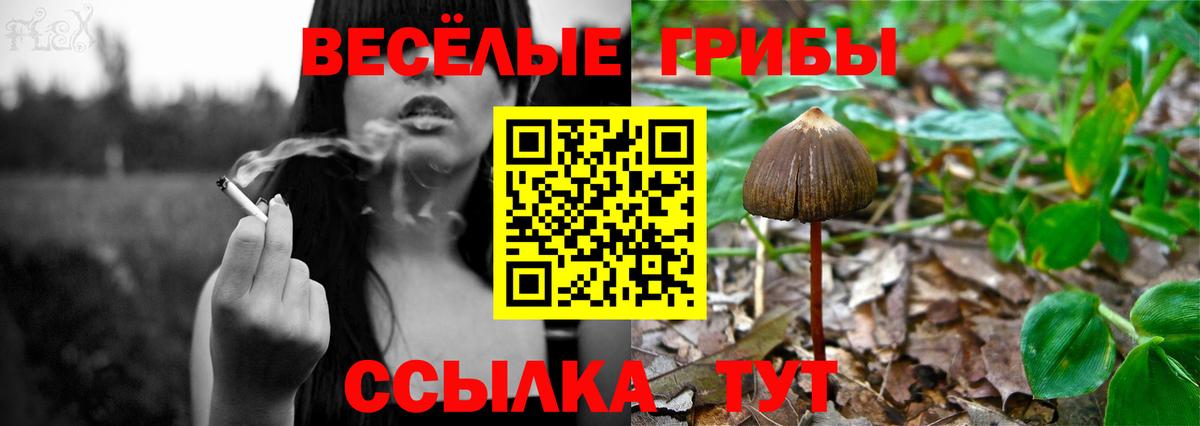 Галлюциногенные грибы GOLDEN TEACHER Красноярск